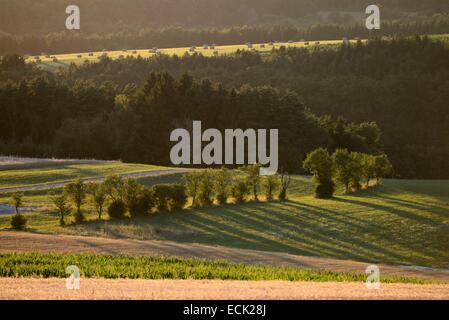 Frankreich, Doubs, Tee Villars Sous Ecot bei Sonnenuntergang, Obstgärten und Stroh-Ballen Stockfoto