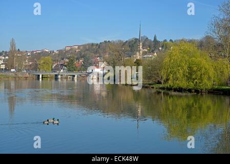 Frankreich, Doubs, Montbeliard, Allan Shore von Innenstadt und Saint-Maimb£ Uf Kirche im Frühjahr. Weide in voller Blüte am Ufer und Stockenten (Anas Platyrhynchos) Stockfoto