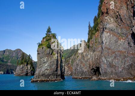 USA, Alaska, Kenai-Halbinsel Kenai Fjords Nationalpark Stockfoto