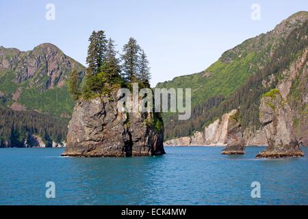 USA, Alaska, Kenai-Halbinsel Kenai Fjords Nationalpark Stockfoto