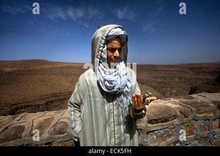 Marokko, Anti-Atlas, Draa-Tal, auf der Straße von Ouarzazate nach Agdz, altes Dorf in der Straße von Marrakesch nach Tombouctou oder Timbuktu Stockfoto