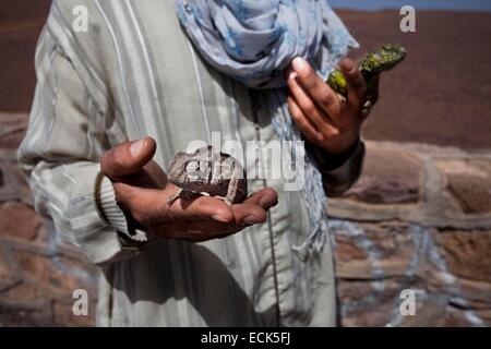 Marokko, Anti-Atlas, Draa-Tal, auf der Straße von Ouarzazate nach Agdz, altes Dorf in der Straße von Marrakesch nach Tombouctou oder Timbuktu Stockfoto