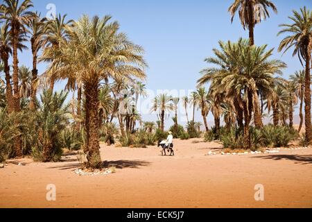 Marokko, Souss-Massa-Draa Region, Zagora Stockfoto