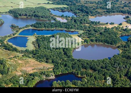 Frankreich, Indre, Migne, Teiche in La Brenne Regionalpark (Luftbild) Stockfoto