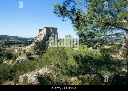 Frankreich, Bouches-du-Rhône, Boulbon Stockfoto