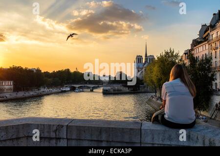 Frankreich, Paris, die Ufer des Flusses Seine als Weltkulturerbe von der UNESCO gelistet, die Kathedrale Notre Dame, Ile De La Cite, bei Sonnenuntergang, Blick von Tournelle Brücke Stockfoto