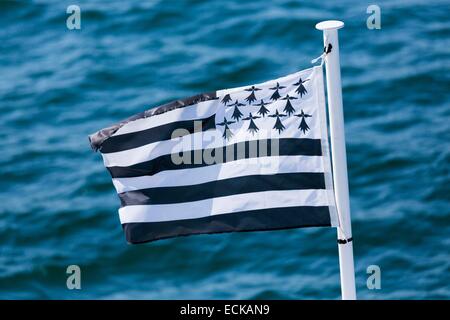 Frankreich, Morbihan, die bretonische Flagge auf einem Boot Kreuzfahrt zu den Inseln des Golfs von Morbihan Stockfoto