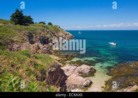 Frankreich, Morbihan, Ponant-Inseln, die Insel Houat, Wandern Sie entlang der Nordküste mit Blick auf den Golf von Morbihan Stockfoto