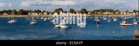 Frankreich, Morbihan, Arzon, Port Navalo, Hafen, Angeln und Kreuzfahrtschiffen Stockfoto