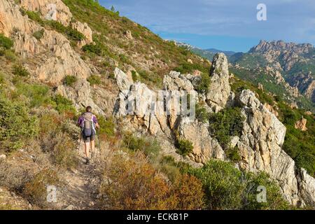 Frankreich, Corse du Sud, Wandern auf dem GR 20, zwischen Conca und ich Paliri Hütte Stockfoto