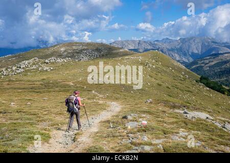 Frankreich, Corse du Sud, Wandern auf dem GR 20, zwischen Asinao Zuflucht und Bassetta Schafstall bis Coscione-Plateaus Stockfoto
