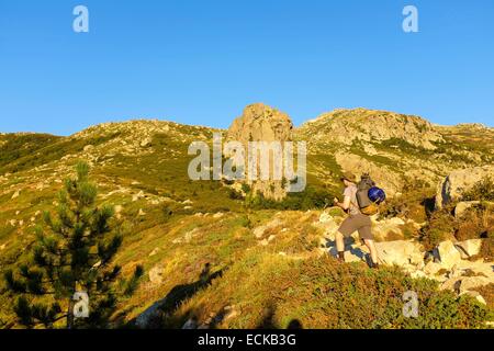 Frankreich, Haute-Corse, Wandern auf dem GR 20, Variante des Beines zwischen Prati Zuflucht und E Capannelle Zuflucht über Monte Renoso (Monte Rinosu oder Renosu) Stockfoto