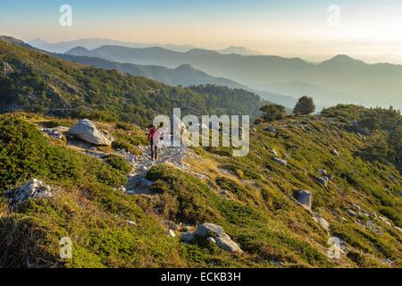 Frankreich, Haute-Corse, Wandern auf dem GR 20, Variante des Beines zwischen Prati Zuflucht und E Capannelle Zuflucht über Monte Renoso (Monte Rinosu oder Renosu) Stockfoto