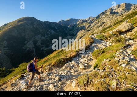 Frankreich, Haute-Corse, Wandern auf dem GR 20, Variante des Beines zwischen Prati Zuflucht und E Capannelle Zuflucht über Monte Renoso (Monte Rinosu oder Renosu) Stockfoto