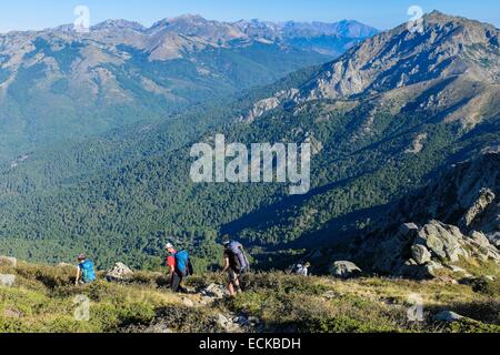 Frankreich, Corse du Sud, Wandern auf dem GR 20, zwischen Usciolu Zuflucht und Prati Zuflucht Stockfoto