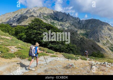 Frankreich, Corse du Sud, Wandern auf dem GR 20, zwischen Usciolu Zuflucht und Prati Zuflucht Stockfoto