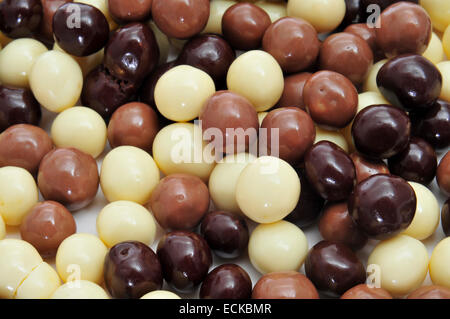Nahaufnahme von einigen verschiedenen kugelförmige Pralinen mit schwarzer Schokolade, weiße Schokolade und Vollmilchschokolade Stockfoto