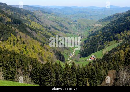 Frankreich, Haut Rhin, Hautes Vosges Bagenelles übergeben, mit Blick auf das Tal von Sainte Marie-Aux-Mines, Weiler Echery Stockfoto