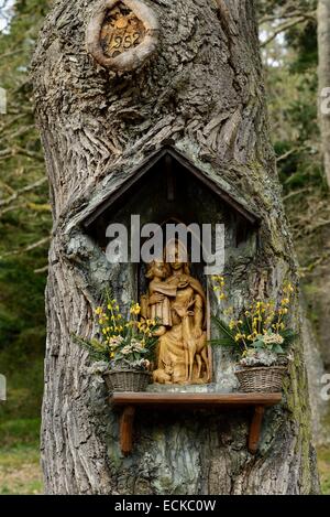 Frankreich, Haut-Rhin, Thannenkirch, Statue der Jungfrau Maria in einer Eiche, Notre Dame des Bois Stockfoto