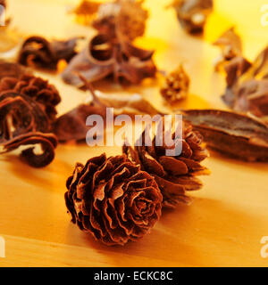 ein Haufen von Tannenzapfen und getrockneten Blüten und Blätter auf eine Holzoberfläche Stockfoto