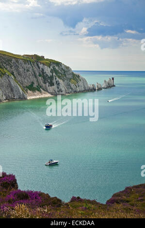 Vertikale Ansicht der Nadeln auf der Isle Of Wight. Stockfoto