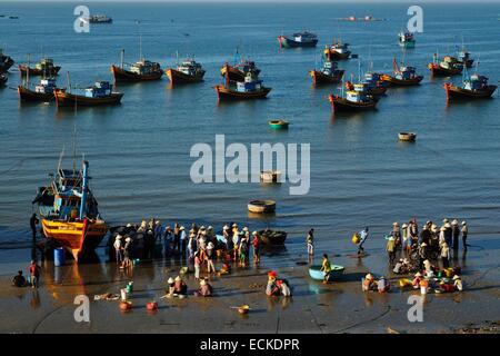 Vietnam, Provinz Binh Thuan, Mui Ne, Fischer Wifes Sortierung Fische vor Fischereihafen Stockfoto