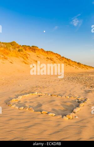 Manche, Cotentin, Cap De La Hague, Frankreich, Biville Dünen massiv, eines der ältesten in Europa, ist ein Naturschutzgebiet Stockfoto