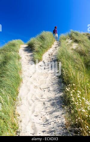 Frankreich, Manche Cotentin, Saint-Lo d'Ourville, Lindbergh Dünen Stockfoto