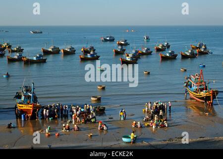 Vietnam, Provinz Binh Thuan, Mui Ne, Fischer Wifes Sortierung Fische vor Fischereihafen Stockfoto