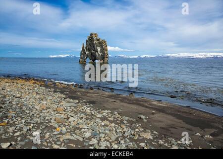 Island, Nordhurland, Halbinsel Vatnsnes, Strand des Hunafjordur mit dem Hvítserkur Meer stack Stockfoto