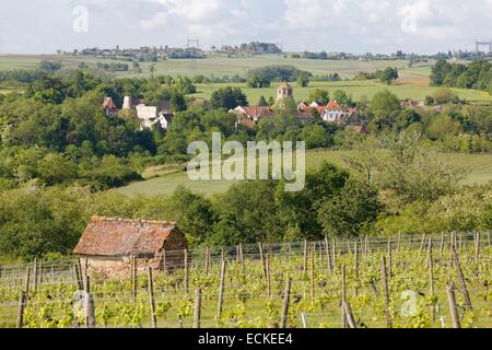 Allier, Frankreich Saint-Pourçain Weinberg, Verneuil-de-Bourbonnais Stockfoto