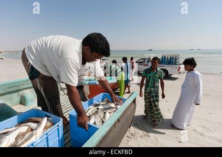 Oman, Khaluf, Fischer Stockfoto