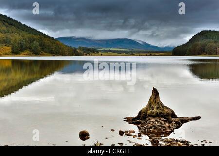 Großbritannien, Schottland, Cairngorms Nationalpark, Loch Garten Naturlandschaft horizontalen Blick auf einen ruhigen See im Herbst Stockfoto