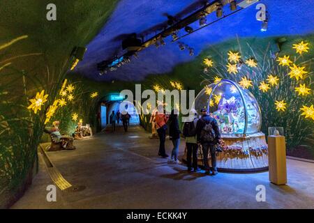 Schweiz, Kanton Bern, zwischen Grindelwald und Wengen, Weltkulturerbe der UNESCO, der höchstgelegene Bahnhof Jungfraujoch in Europa Stockfoto