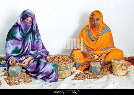 Marokko, Souss Region, Ighrem, kooperative marokkanische Frauen, verantwortlich für die Samen von Argan, zerdrücken manuell Argan Samen zerdrücken und traditionelle Stockfoto