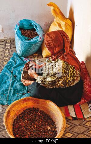 Marokko, Souss Region, Ighrem, kooperative marokkanische Frauen, Frau verantwortlich für die Samen von Argan, zerdrücken manuell Argan Samen zerdrücken und traditionelle Stockfoto