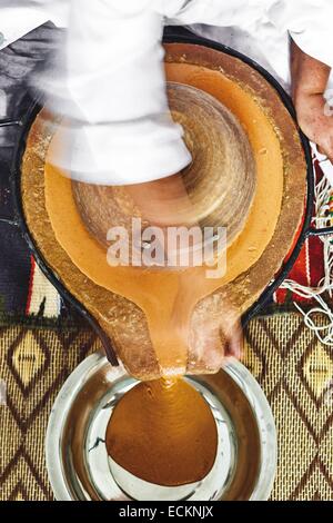 Marokko, Souss Region, Ighrem, kooperative marokkanische Frauen, Frau verantwortlich für die Entwicklung von manuellem Druck Argan-Öl mit einer Rotationsdruckmaschine Stein Stockfoto