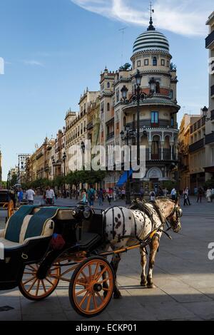 Spanien, Andalusien, Sevilla, Straße der Verfassung, eine Kutsche für Touristen im Zentrum Stadt Stockfoto