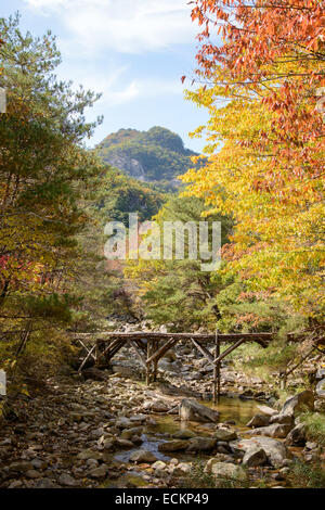 Holzbrücke über Stream mit Herbstfarben im Herbst Stockfoto