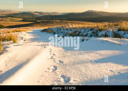 Spuren auf einen schneereichen Weg auf Holehead Hügel in Campsie Glen, Glasgow, Schottland, Großbritannien Stockfoto