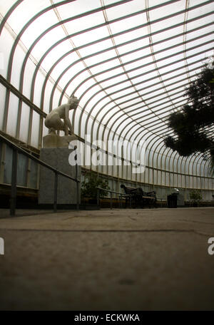 Kibble Palace Glasgow Interieur Stockfoto