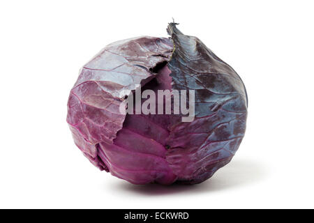 Frischer Rotkohl isoliert auf weißem Hintergrund Stockfoto