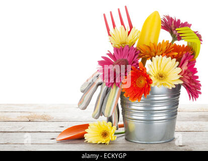 Bunte Blumen und Garten-Tools auf Holztisch. Isoliert auf weißem Hintergrund Stockfoto