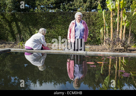 Zwei alte Damen von Zierteich im Garten Stockfoto