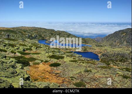 Seenebel in Serra Da Estrela, Portugal Stockfoto