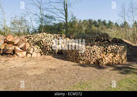 Aufbau einer Holz Hausen (Wood House) - eine Methode der Stapel Brennholz trocknen Stockfoto