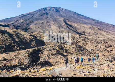 Mt. Ngauruhoe, Northern Circuit Wandern, Tongariro Nationalpark, Nordinsel, Neuseeland Stockfoto