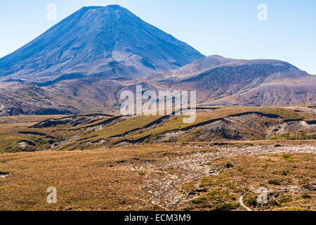 Wanderer auf der Tongariro Northern Circuit, Mt. Ngauruhoe steigt im Hintergrund, Tongariro National Park, North Island, neue Zea Stockfoto