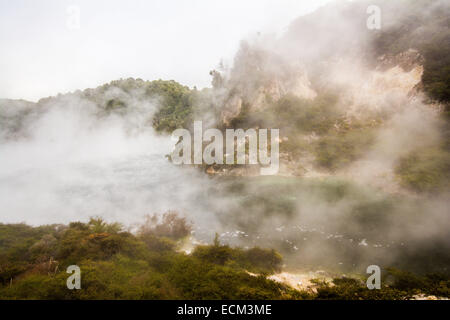 Braten, Pfanne See, Waimangu Volcanic Valley, Nordinsel, Neuseeland Stockfoto