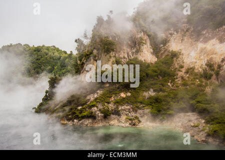 Braten, Pfanne See, Waimangu Volcanic Valley, Nordinsel, Neuseeland Stockfoto